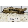 Bogwood 57