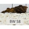 Bogwood 58