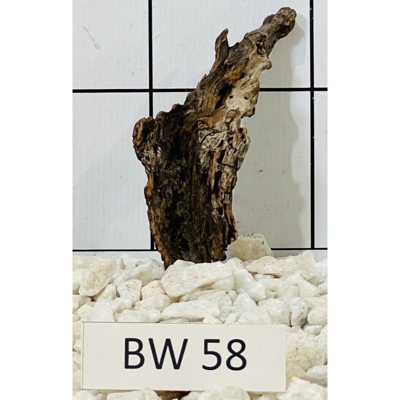 Bogwood 58