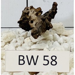 Bogwood 58