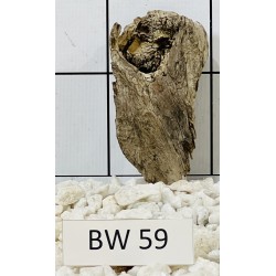Bogwood 59