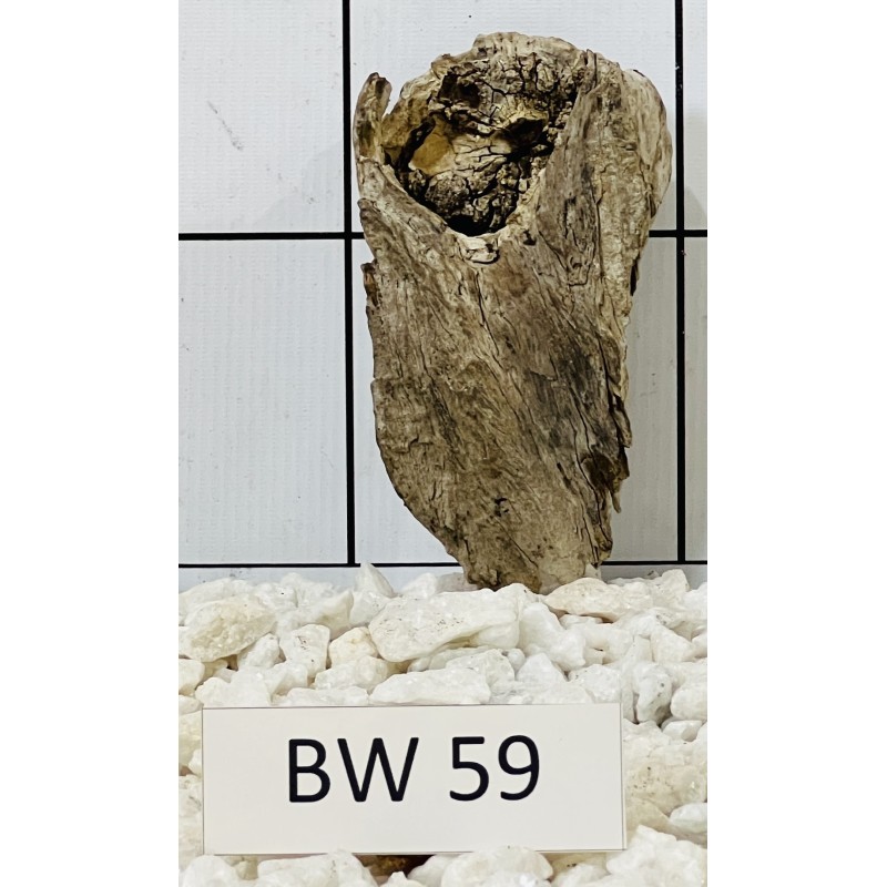 Bogwood 59
