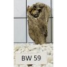 Bogwood 59