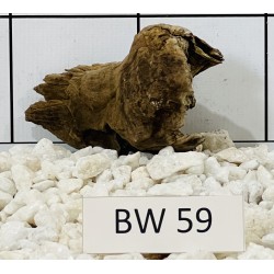 Bogwood 59