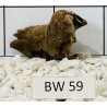 Bogwood 59