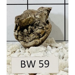 Bogwood 59