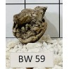 Bogwood 59