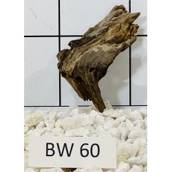 Bogwood 60