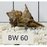 Bogwood 60
