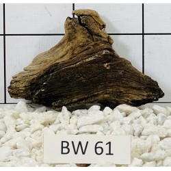 Bogwood 61