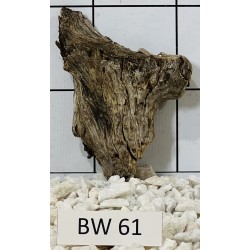 Bogwood 61