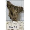 Bogwood 61