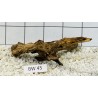 Bogwood 45