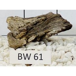 Bogwood 61