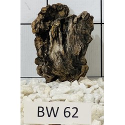 Bogwood 62