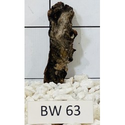 Bogwood 63