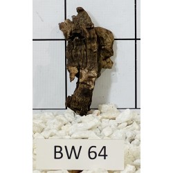 Bogwood 64