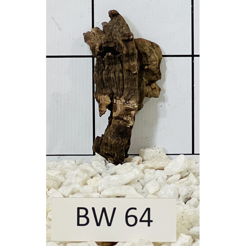 Bogwood 64