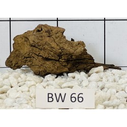 Bogwood 66