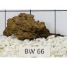 Bogwood 66
