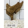 Bogwood 66