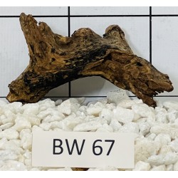 Bogwood 67