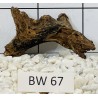 Bogwood 67
