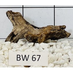 Bogwood 67