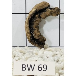 Bogwood 69