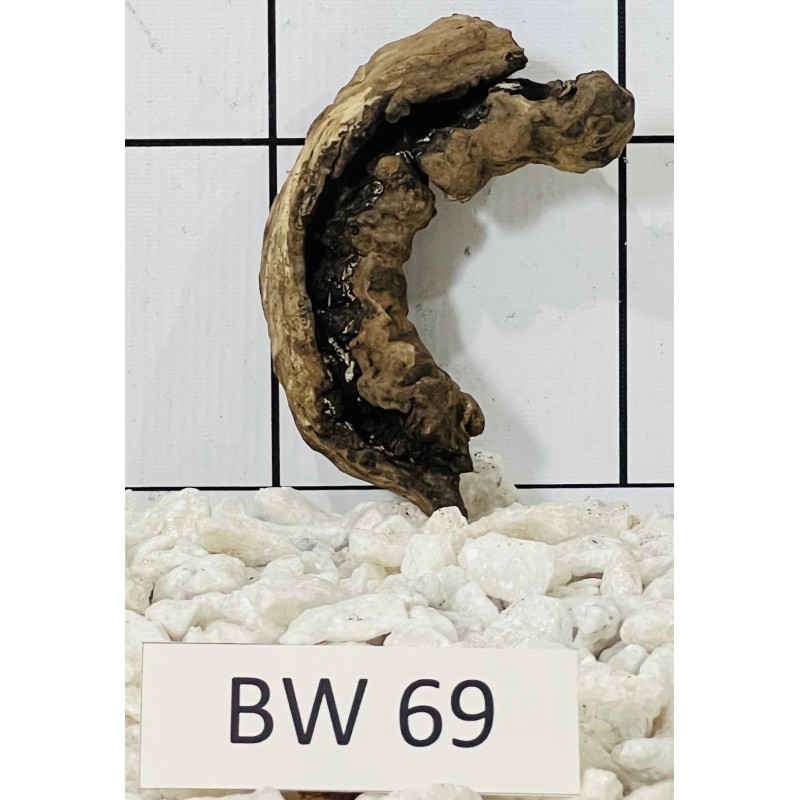 Bogwood 69