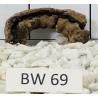 Bogwood 69