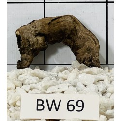 Bogwood 69