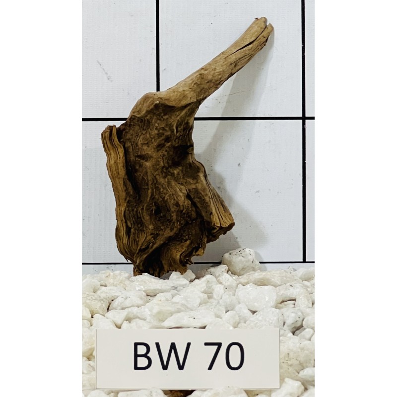 Bogwood 70