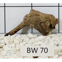 Bogwood 70