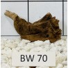 Bogwood 70
