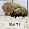 Bogwood 71