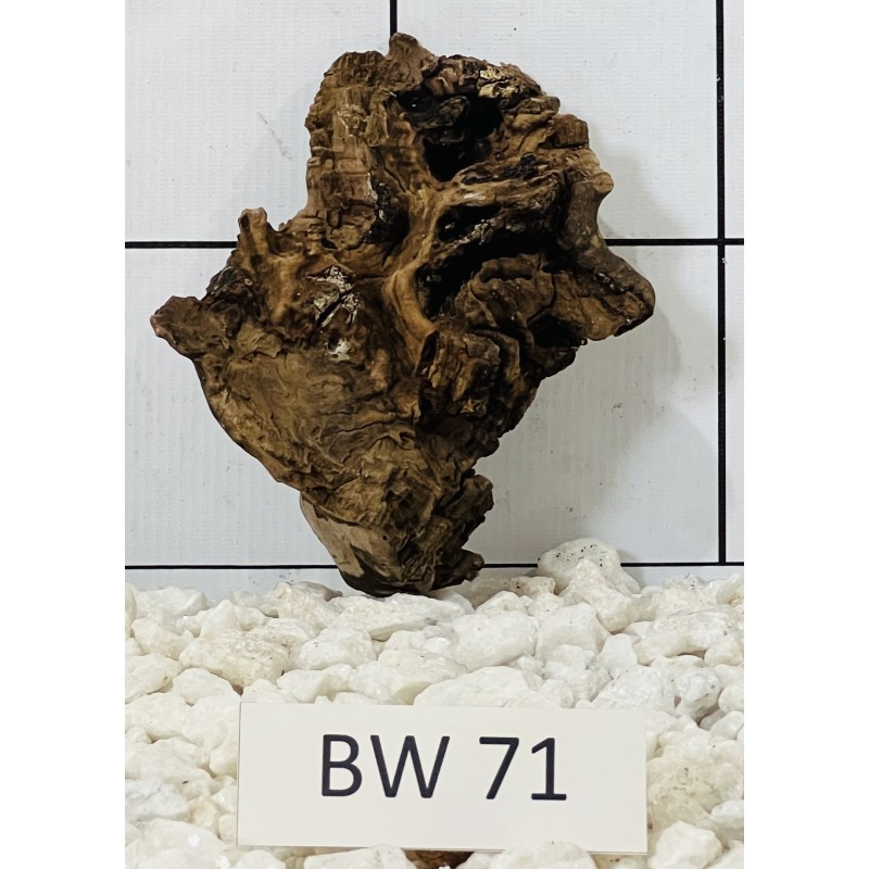 Bogwood 71
