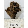 Bogwood 71