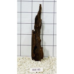 Bogwood 46