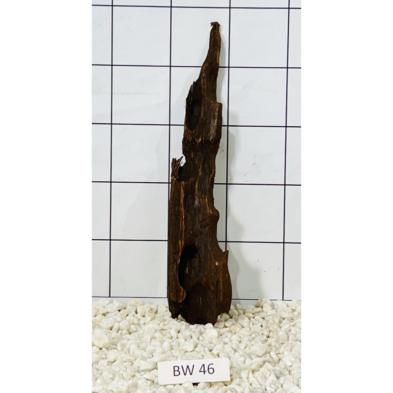 Bogwood 46