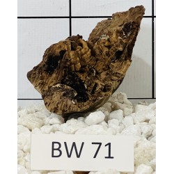 Bogwood 71