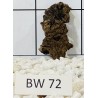 Bogwood 72