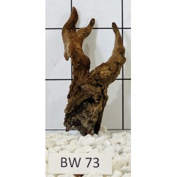 Bogwood 73