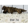 Bogwood 74