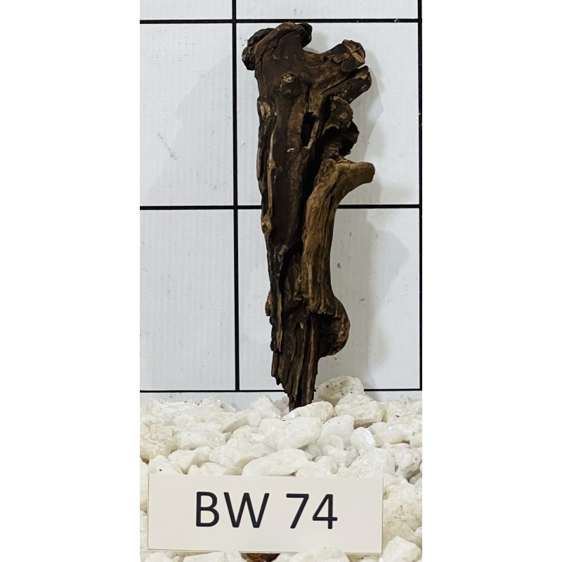 Bogwood 74