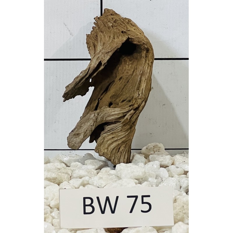 Bogwood 75