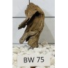 Bogwood 75
