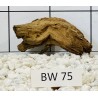 Bogwood 75