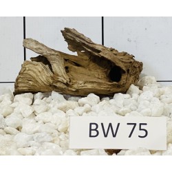 Bogwood 75