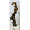 Bogwood 76